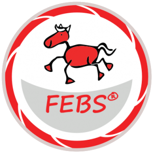 FEBS - Verband Reitpädagogik Österreich